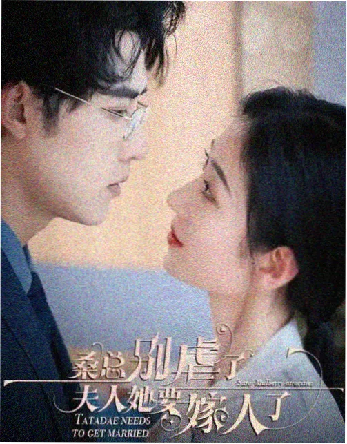 163影院谍战悬疑剧集代号夜航封面